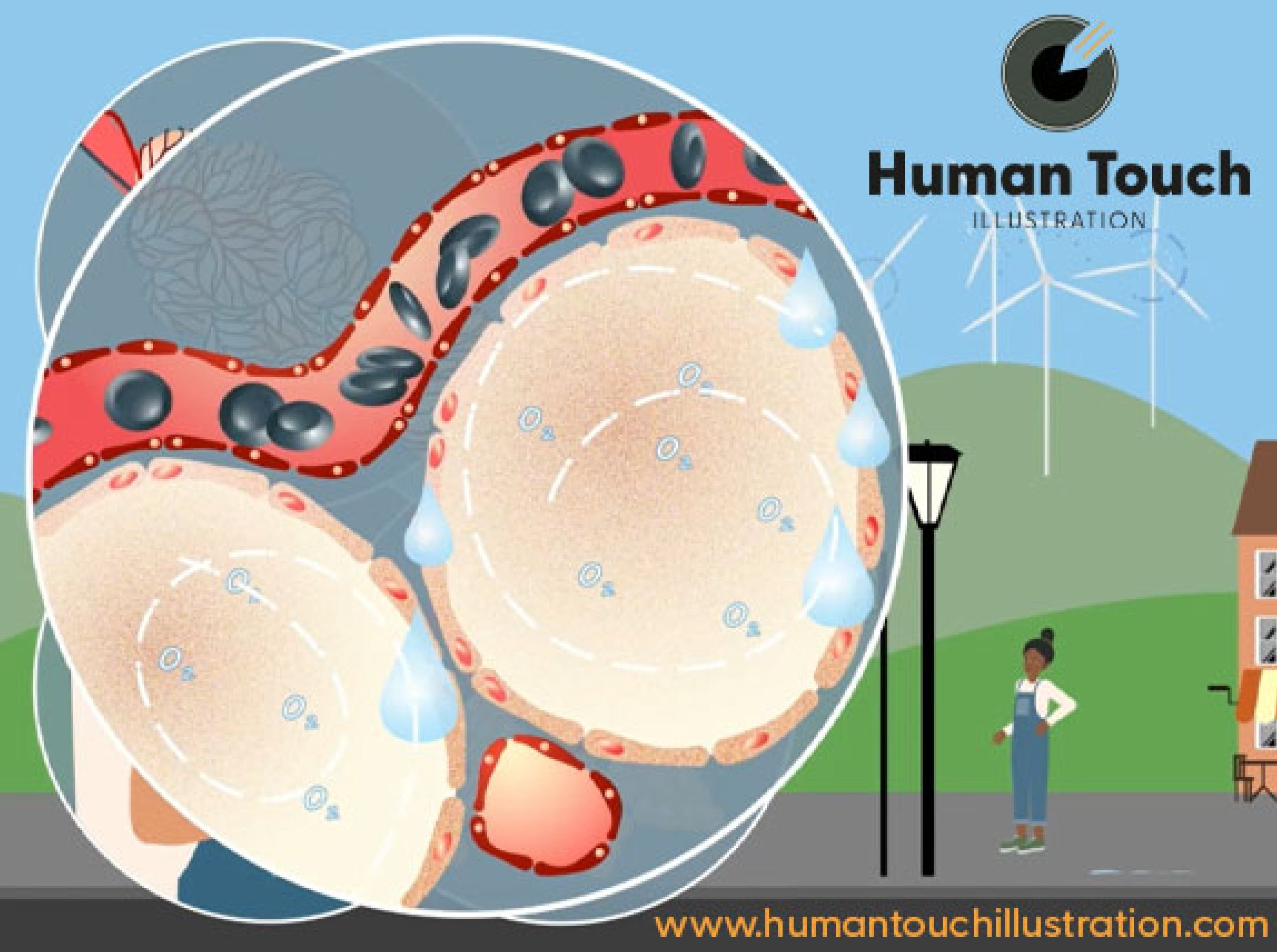 2D animation still about gas exchange and the lungs for GCSE level students