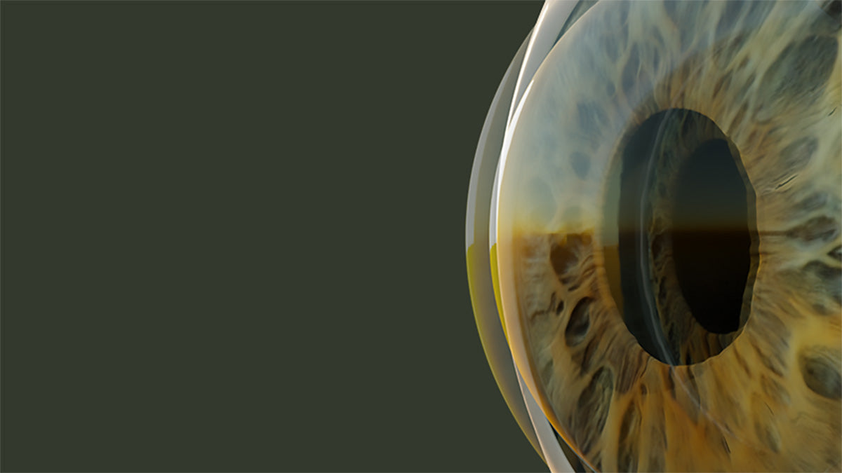Close-up of a detailed eye model on a dark background
