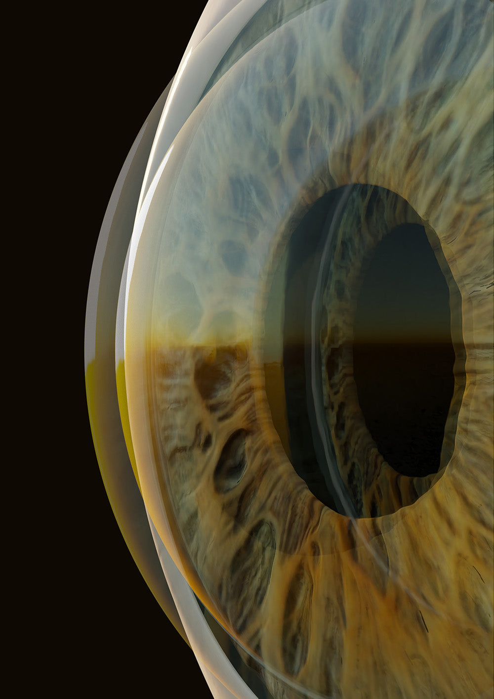 Close-up of a detailed iris of the eye illustration using 3D modelling with a black background