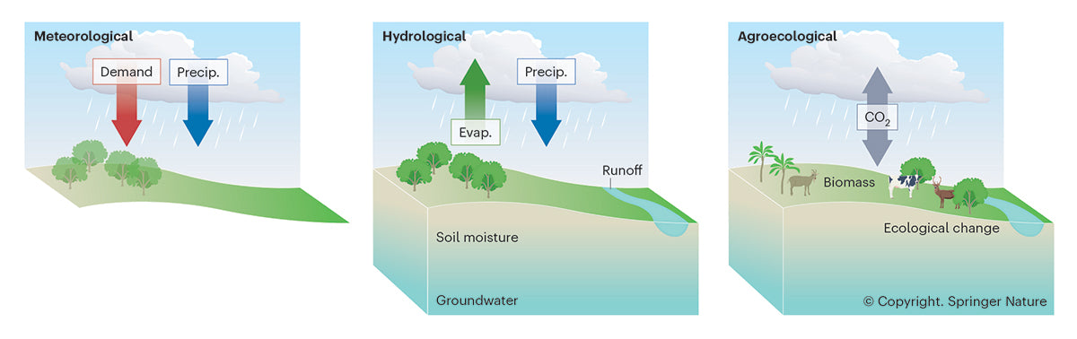Three diagrams illustrating meteorological, hydrological, and agroecological processes with arrows and labels. Full colour technical line editorial illustration for Springer Nature
