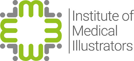 Logo of the Institute of Medical Illustrators with green and gray design.