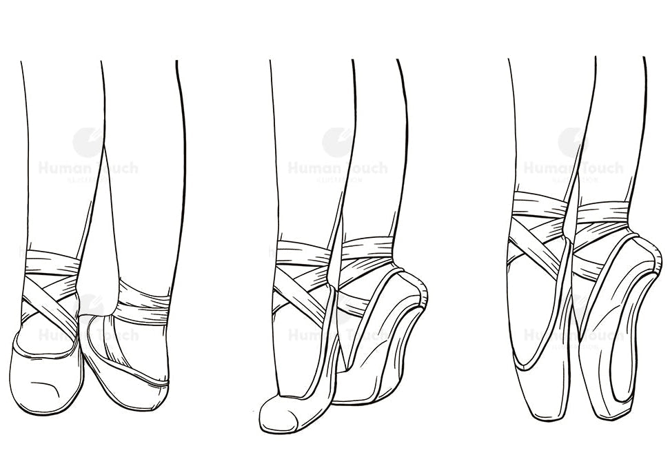 Traditional line drawing of ballet dancers feet in fifth position on a flat foot, demi-pointe and en pointe