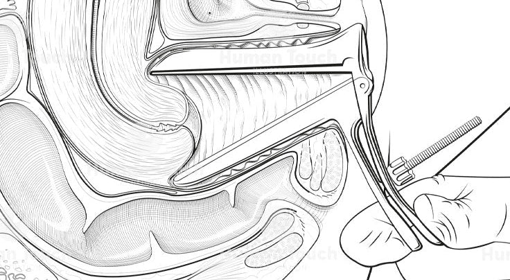 Zoom in of technical anatomical illustration line drawing