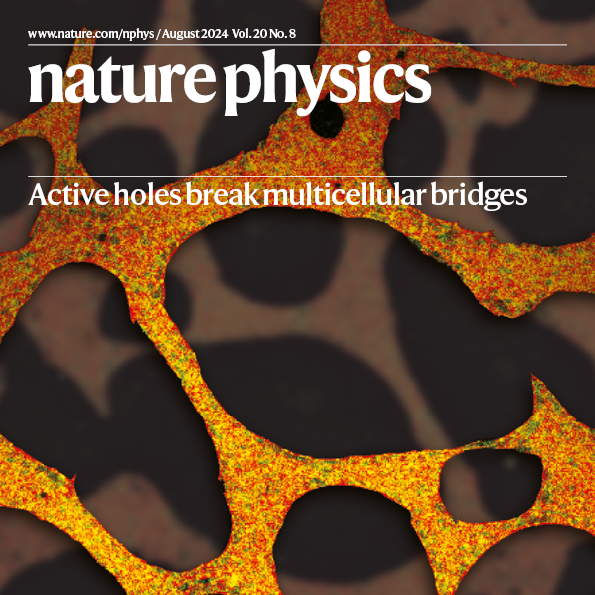 Nature Physics journal cover from August 2024, featuring orange layered shapes. Cover design by Emily Bucher
