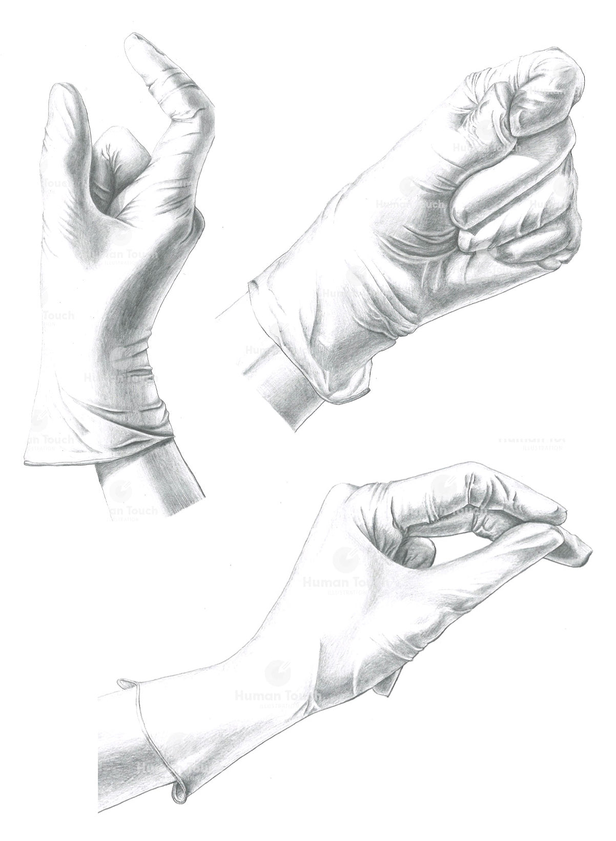 Traditional pencil illustration of hands wearing surgical or medical gloves on a white background