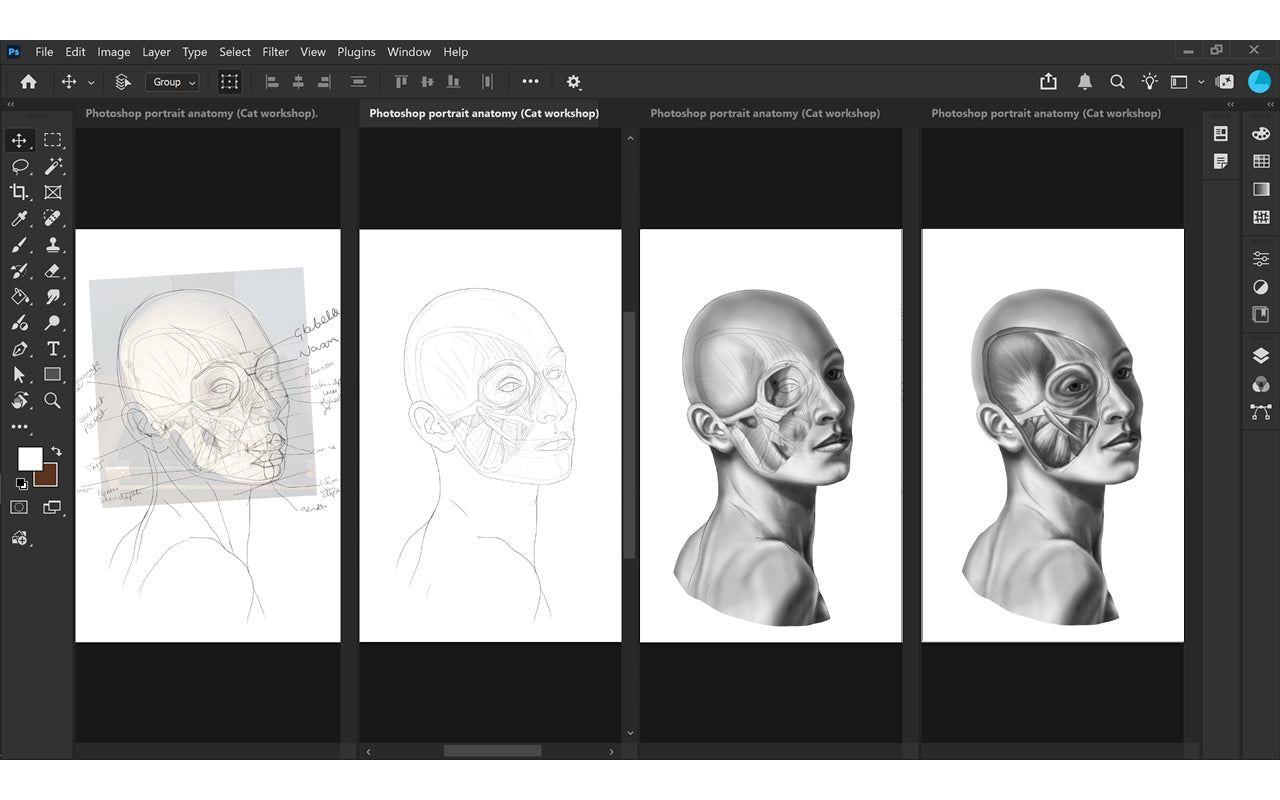 Anatomy illustration process on a digital art software interface